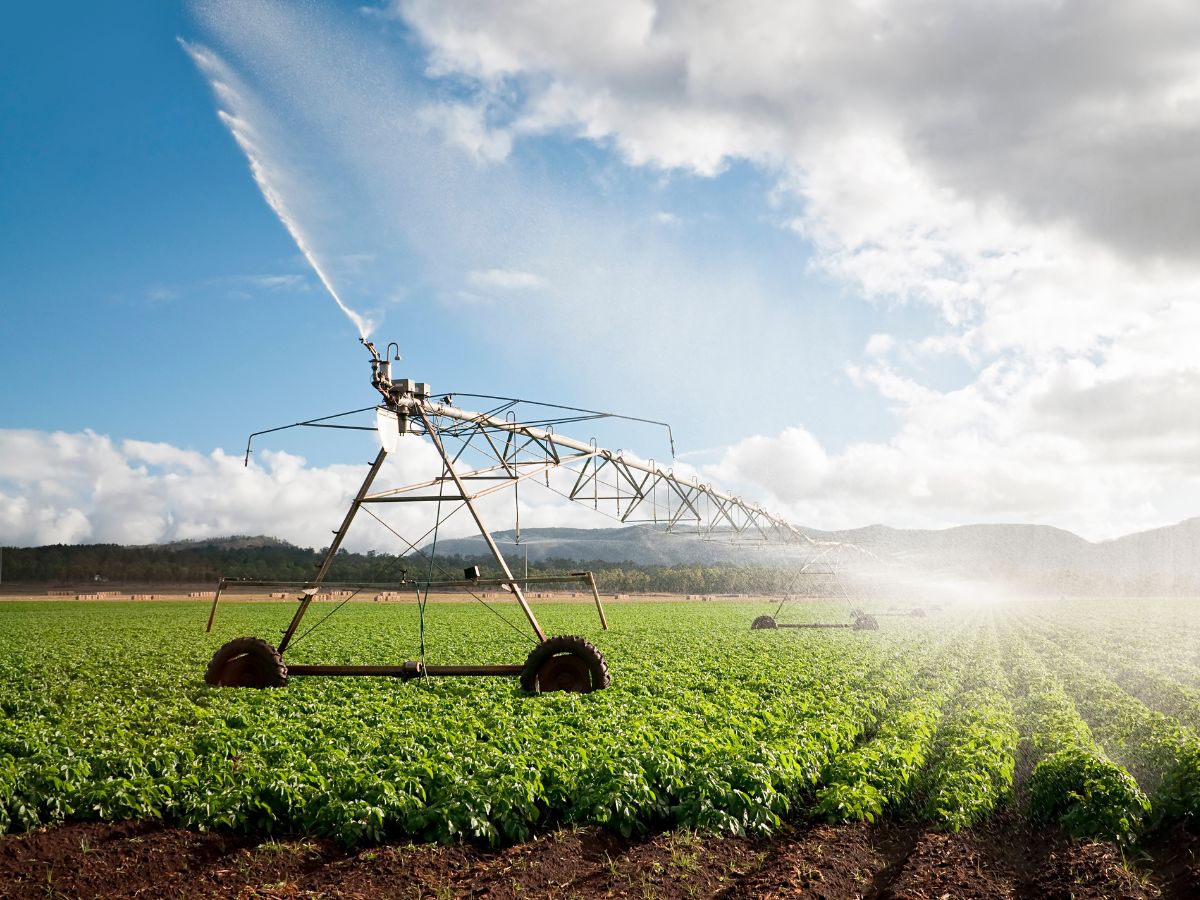 Mezőgazdasági vízszolgáltatás díjképzési rendje