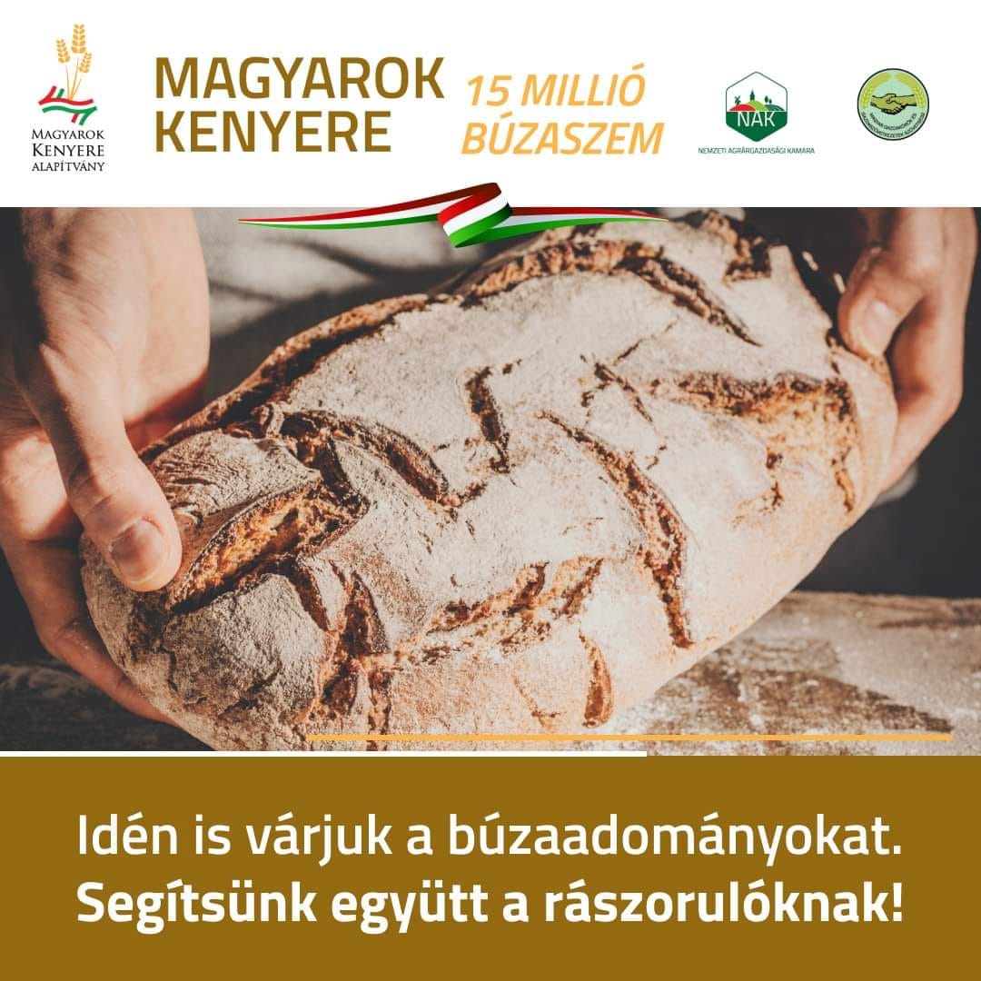 "Egy kenyéren vagyunk..." – Magyarok Kenyere - 15 millió búzaszem program