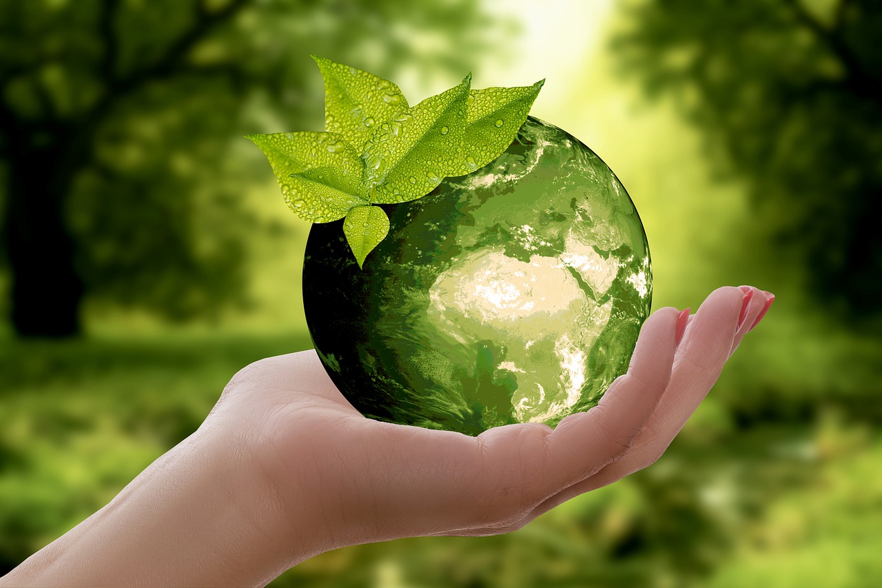 Vállalkozz fenntarthatóan a környezettudatosság jegyében!