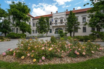 Kecskeméti központ